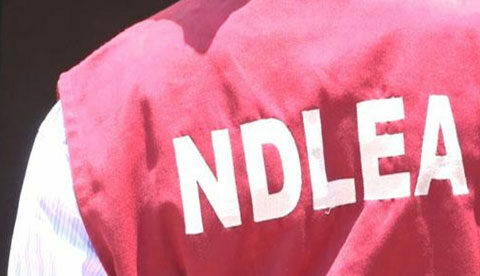 NDLEA nabs drug baroness, 4 kingpins, busts 3 syndicates in Lagos